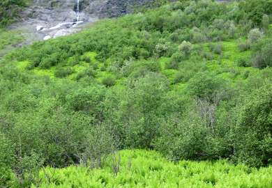 4e Oreskog_Lanes_Lyngen_ 230609_PKB