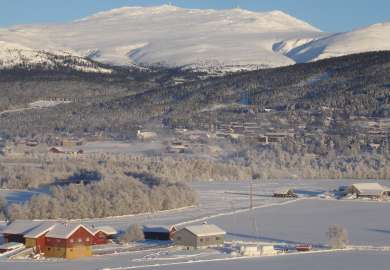 Tronfjell_Alvdal