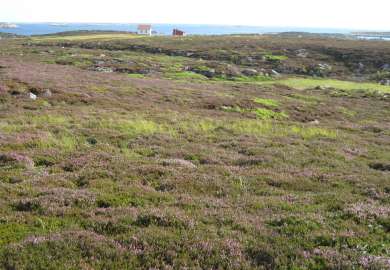 Røsslynghei, 10b, Store lyngøya, Froan, 2. august 2007, ANB