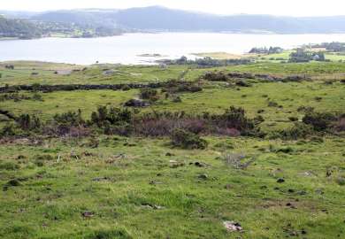 11b beitevoll_utsikt mot NØ_308 Mosterøy_Rennesøy_12082008_JOH