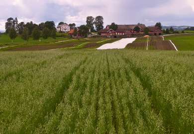 WP_20160712_14_56_51_Økologisk-landbruk