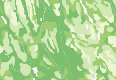 AR5_skogbonitet