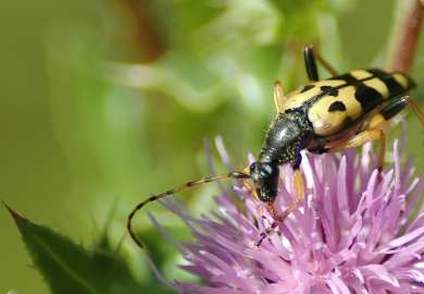 mg200407_DSC_2861_cropped