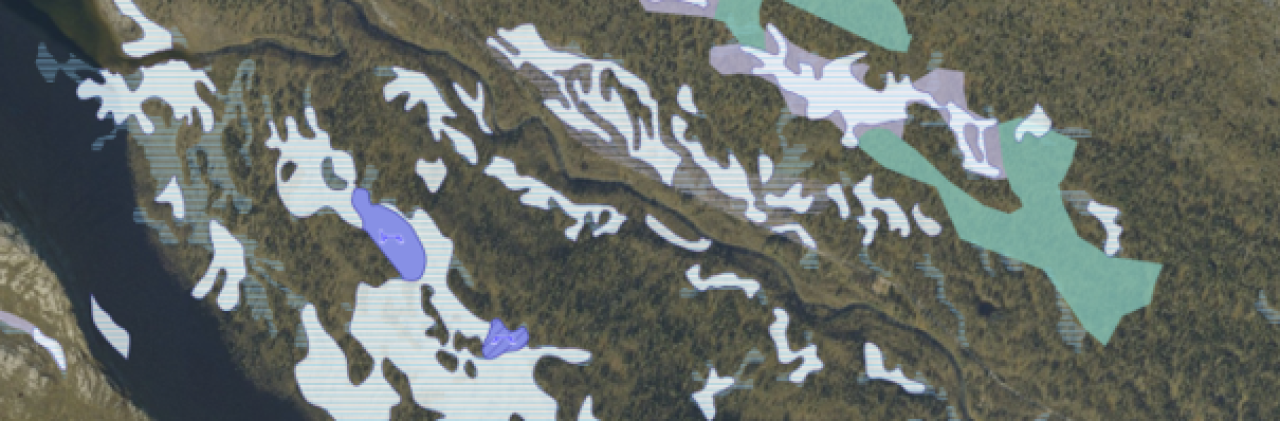 Kartlag som viser myr