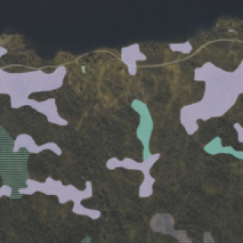 Myr og vatmark fra vegetasjonskart