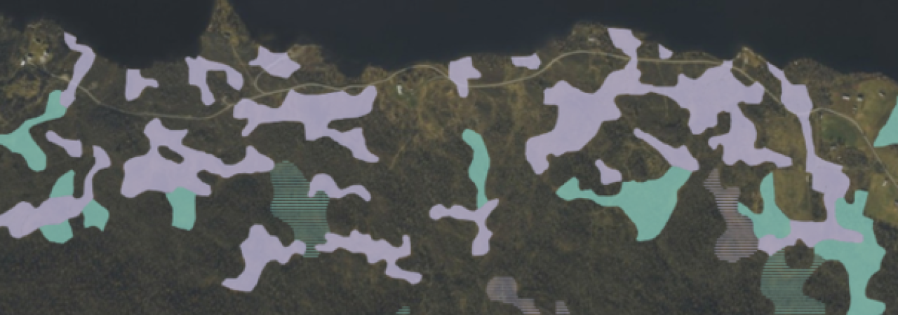 Myr og vatmark fra vegetasjonskart