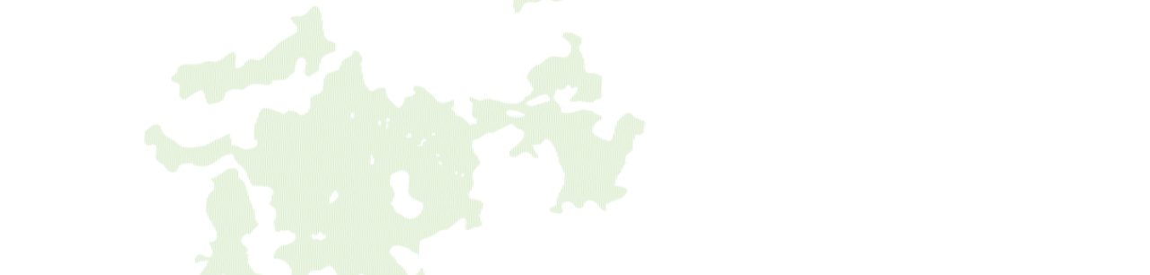 Vernform_2