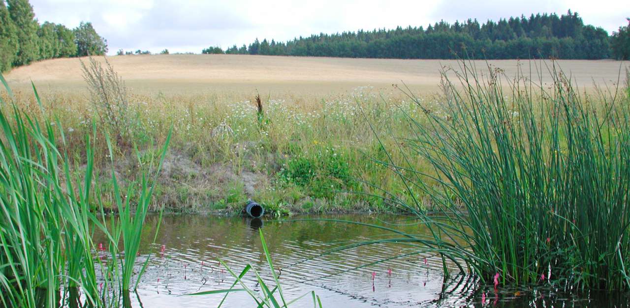 ef-20010824-140619 Erling Fløistad Fangdam Skuterudfeltet