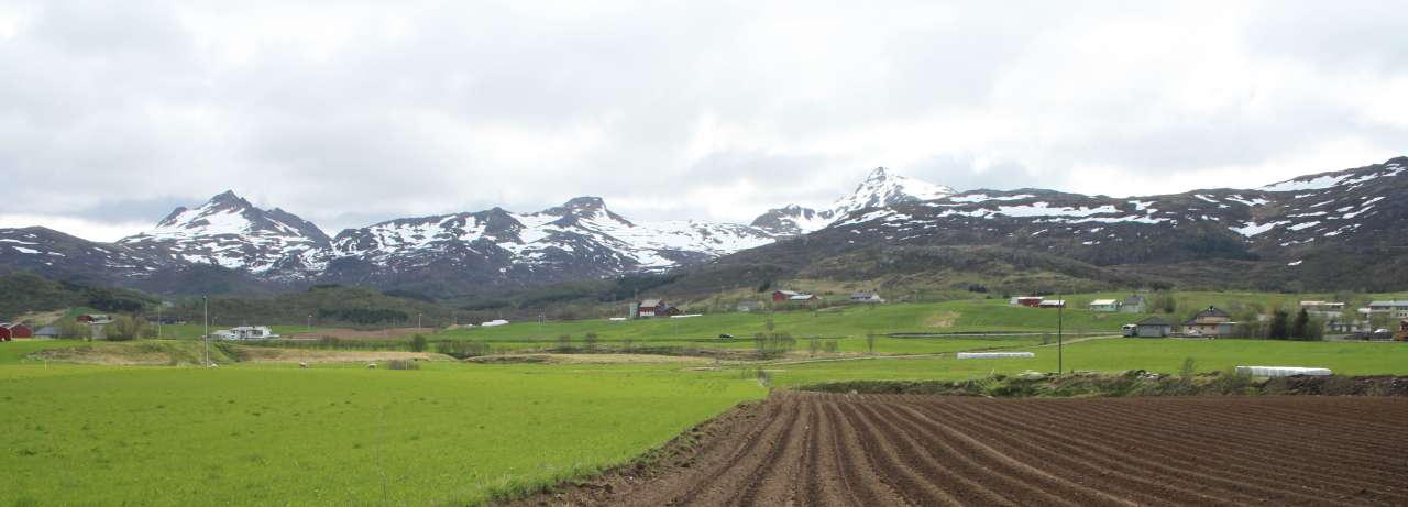 lofoten0612 067