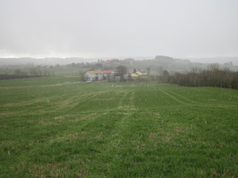 IMG_0350.JPGRegnvær_Klepp_ovk.JPG