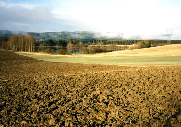Buskerud_Jordbruksareal i Buskerud_Ove Klakegg.jpg