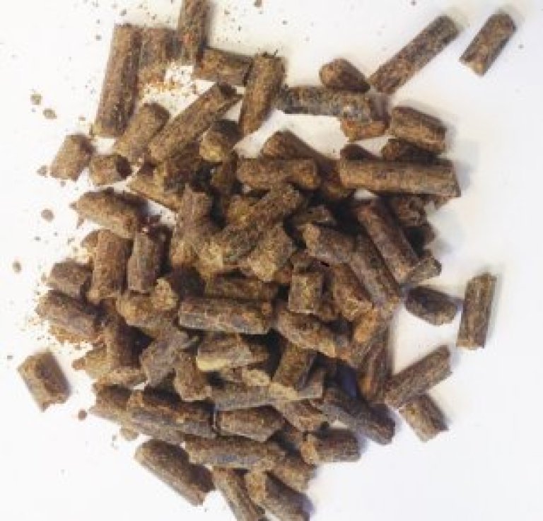 kjøttbeinmel pellets cropped.jpg