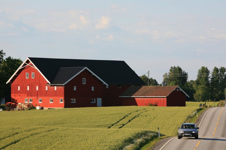 Puschmann-NIBIO_2008_Skarpholt rv 22_Rakkestad_Østfold.jpg