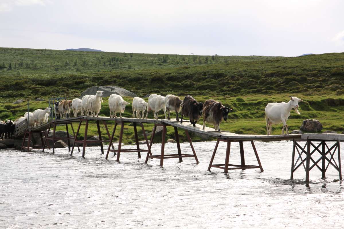 2015_Mæløya seter_Einunndalen_Folldal_Innlandet_6758_Foto Kari Stensgaard