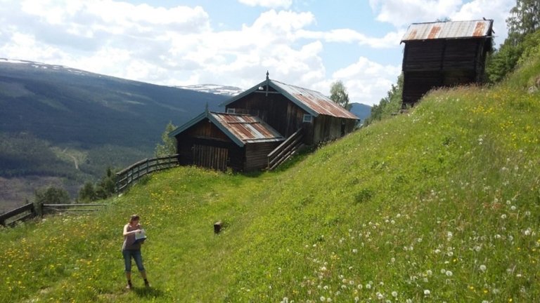 Sørlige-fjellstrøk.jpg