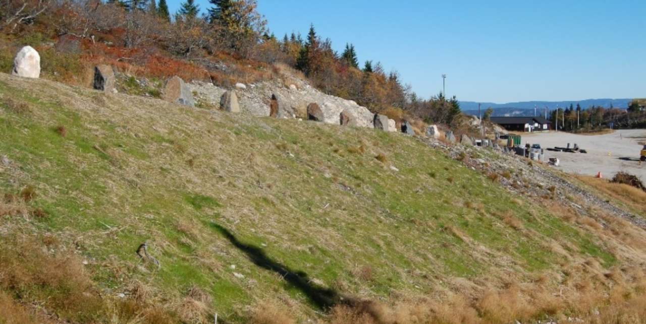Fjellfrøblanding