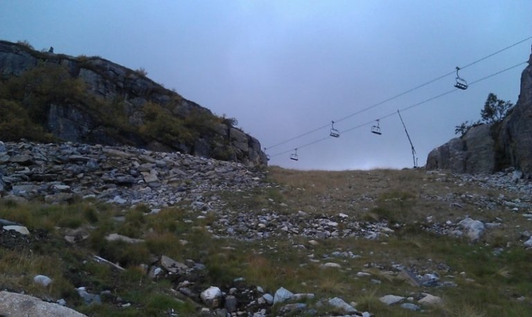 Fjellfrø-Hardangervidda.jpg
