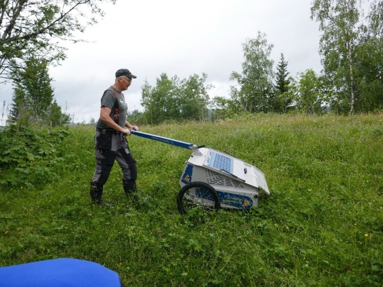 Frøhøsting-E-beetle.jpg