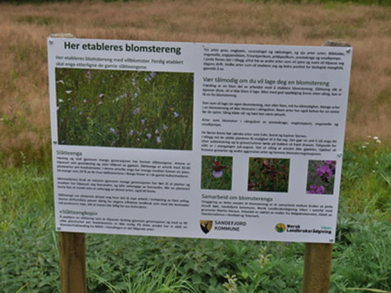 Informasjonstavle satt opp ved etablering av blomstereng