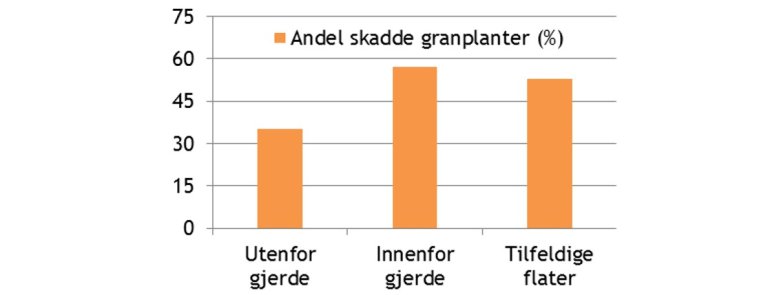 Viltskadesenter_tamfe_B.jpg