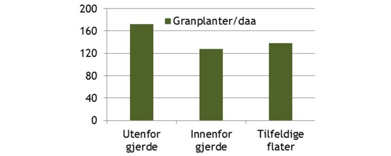 Viltskadesenter_tamfe_A.jpg