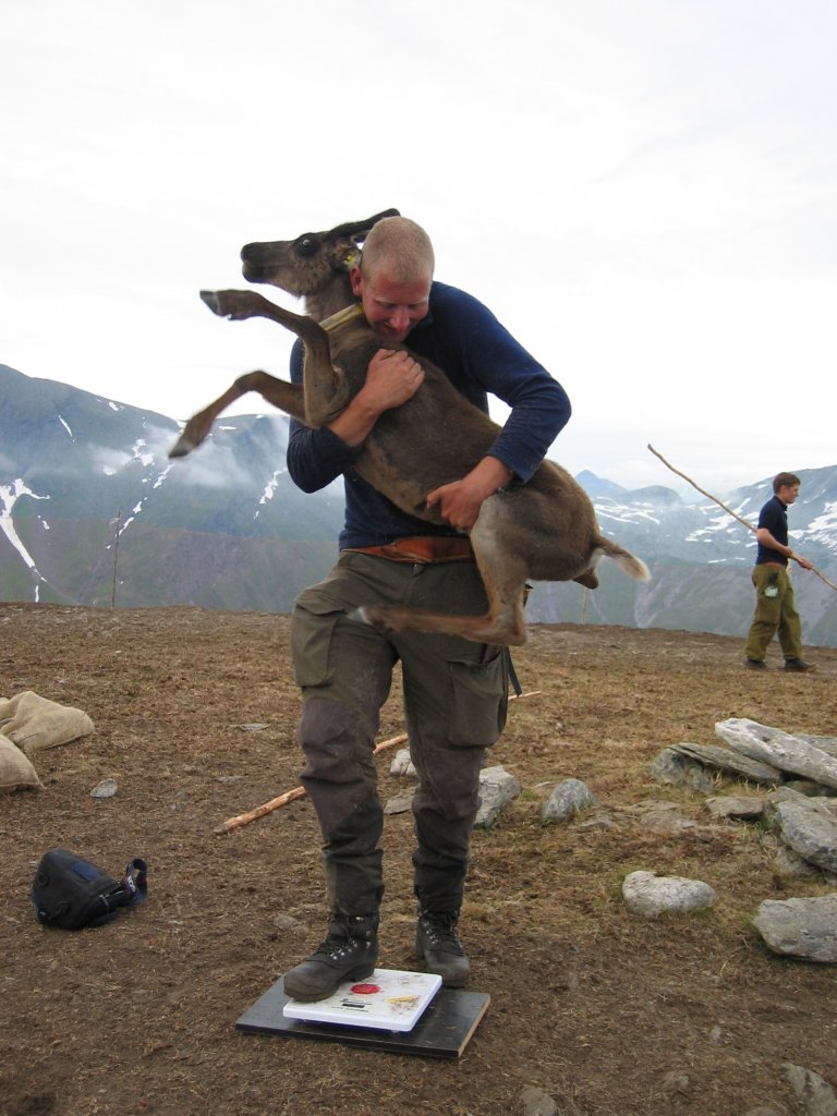 REINTAPjuni04 051.jpg