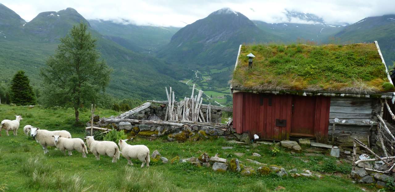 Overvåking_av_seterlandskap_Wendy_Fjellstad