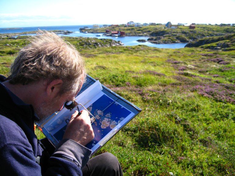 Yngve tegner på fløya, Gjæsingen, Froan, 3. august 2007, ANBb.jpg