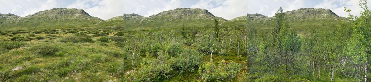 Valdres_utmark_tre faser_AndersBryn og JonSkilleAmundsen_2012