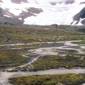 10g Elveør,brefront_Jotunheimen_Lom_YNR