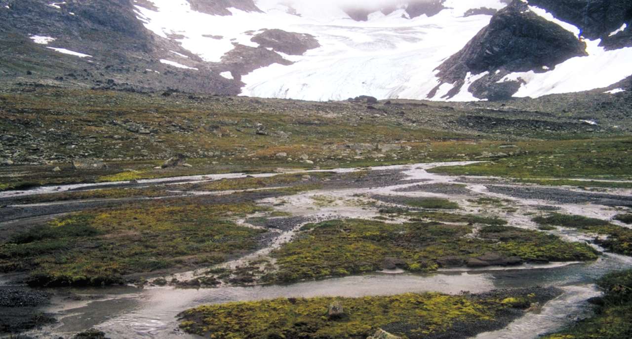 10g Elveør,brefront_Jotunheimen_Lom_YNR