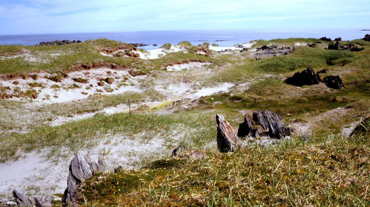 10f Sandyne_Sandfjorden_Berlevåg_PKB