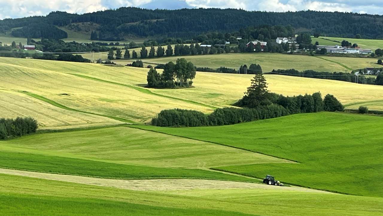 økt norsk andel