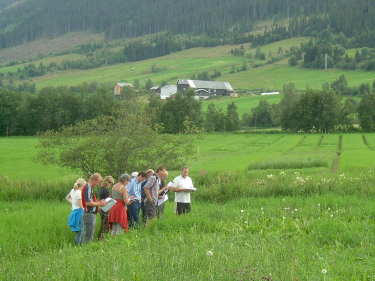 Markvandring_Løken_Håkon_J_Skarstad.jpg