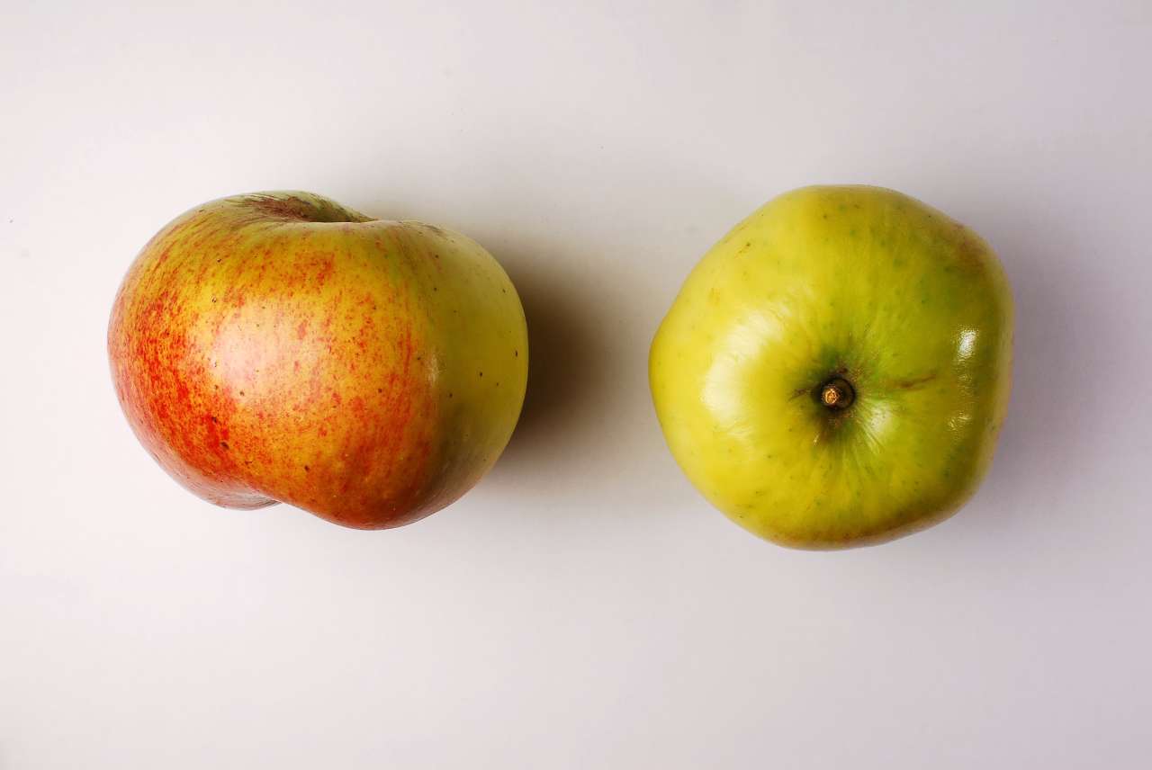 Bramley's-Seedling_Ove-Hetland