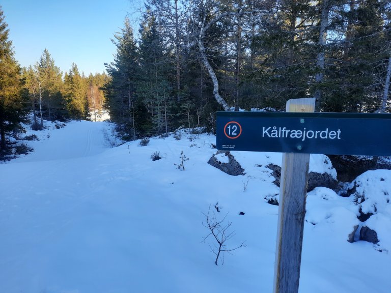 Kålfrøjordet.jpg