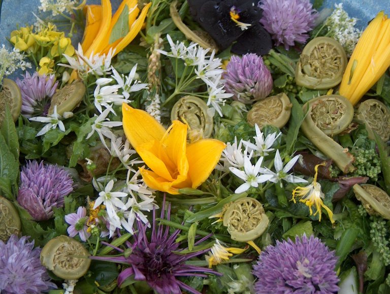 3_BlomstersalatSB.JPG