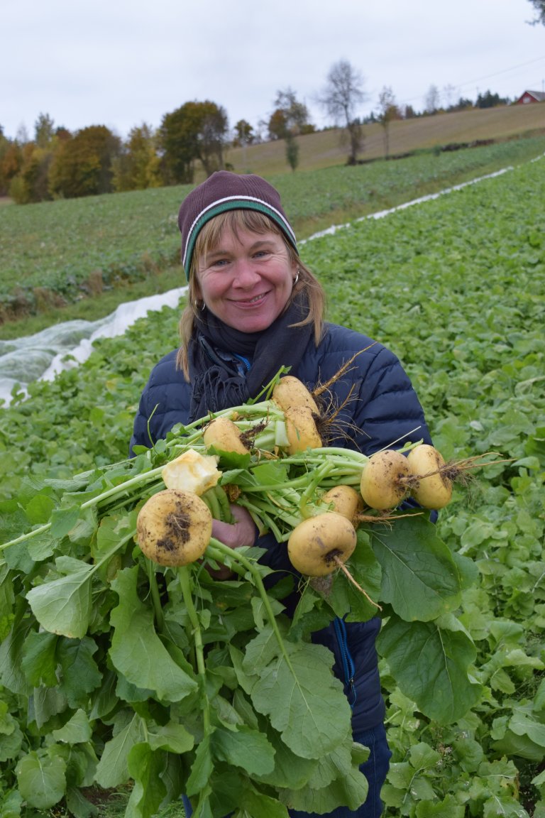 Ingrid Bratberg Målselvnepe.JPG