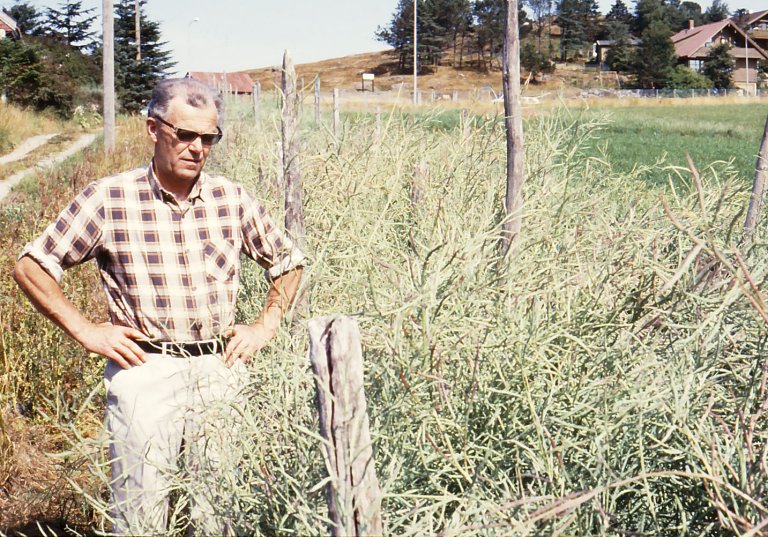 Kål_Even-Bratberg.jpg