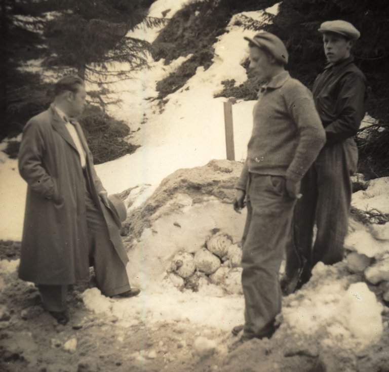 Kål-3_Schrøder.jpg