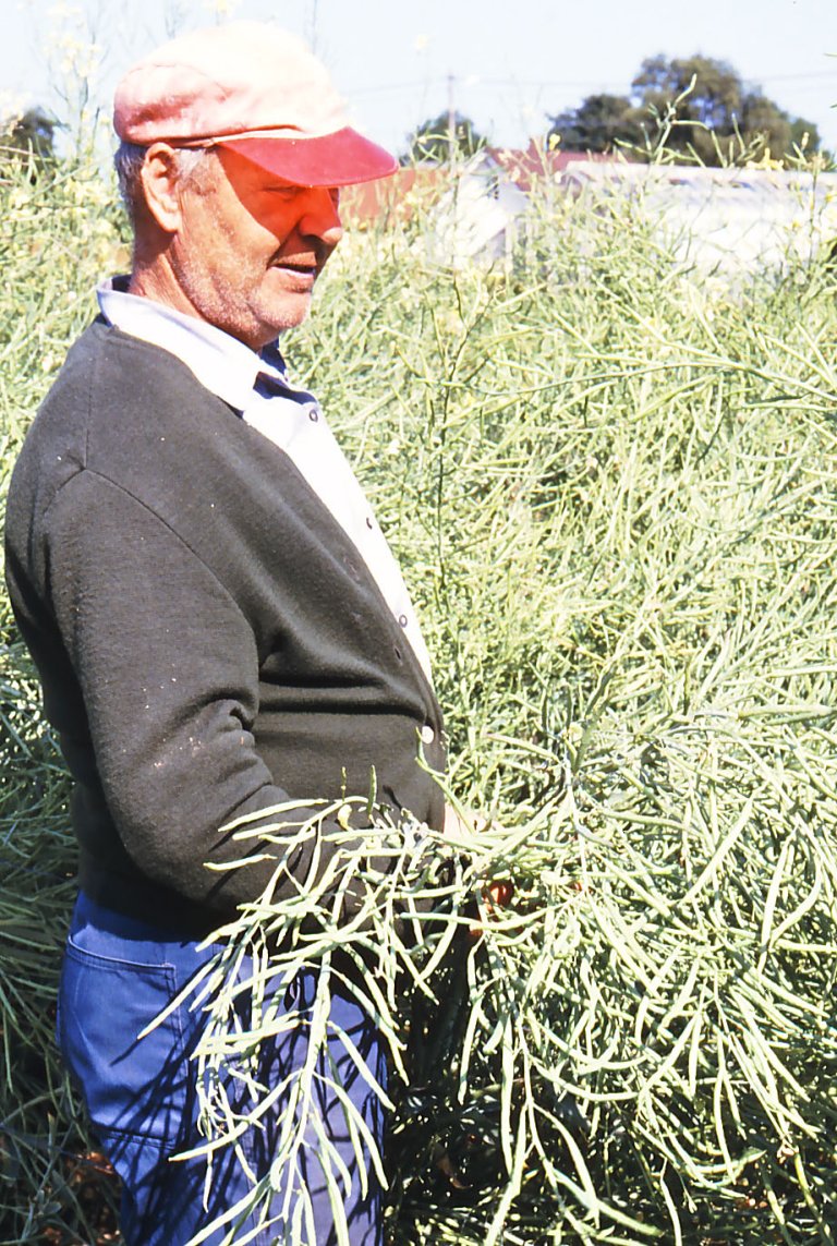 Kål-2_Even-Bratberg.jpg
