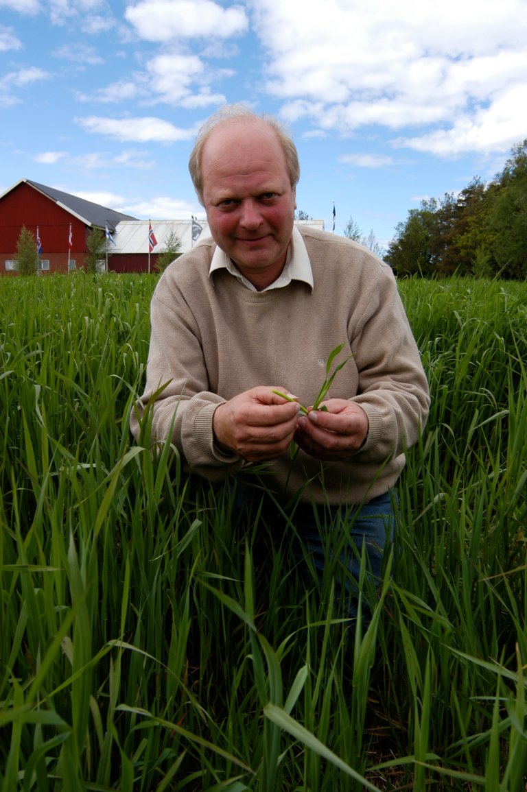 Grindstad-Timotei-2_Samvirke,-Felleskjøpet-Agri.jpg