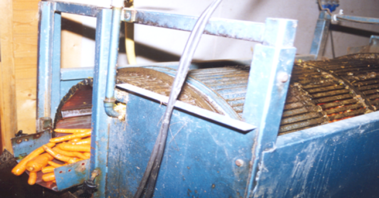 washing of carrots.png