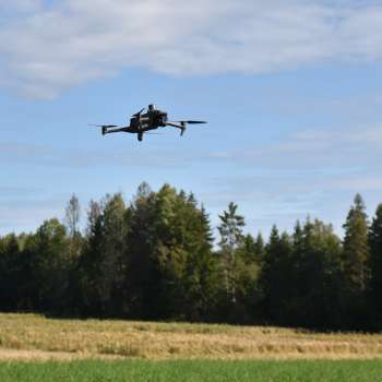 Droner er utmerkede sensorplattformer i landbruket. 