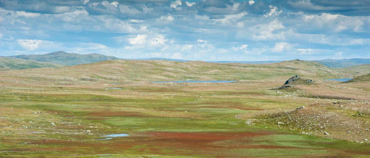 DA_20100810-142115-2