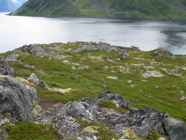 Kystlynghei. Vegetasjon inn i mellom fjell med hav i bakgrunnen.