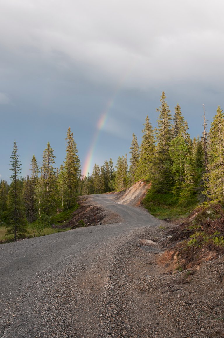 JOF-20100713-211851.jpg