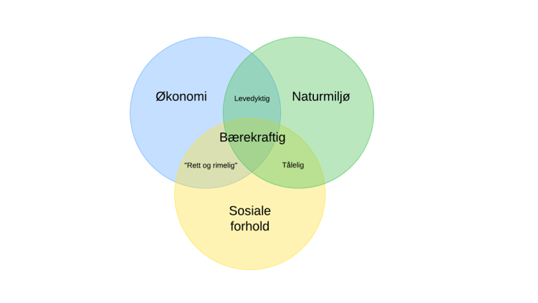 Illustrasjon bærekraft.png