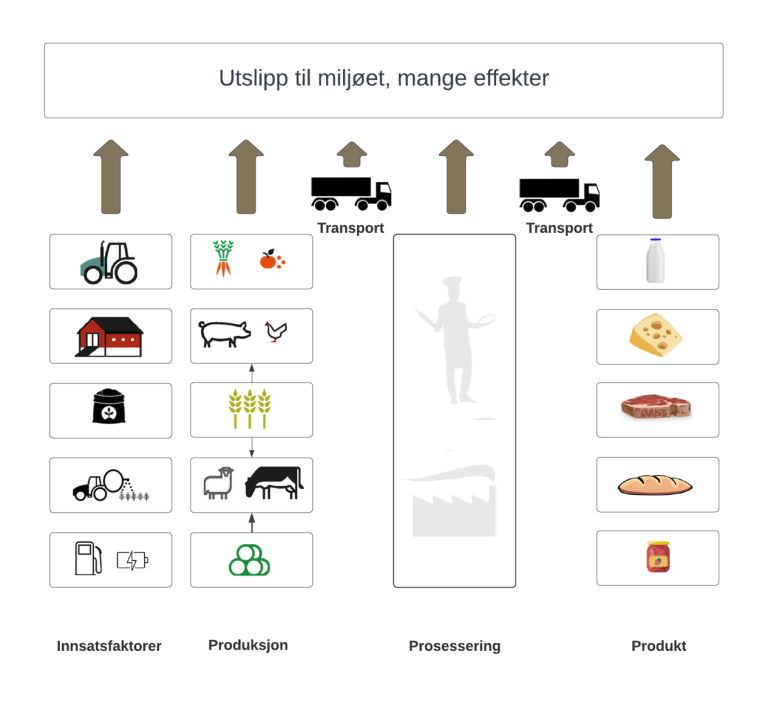Bildet viser fra venstre til høyre illustrasjoner av ulike steg i prosessen ved produksjon av ulike typer matvarer. Første steg viserer traktor, hus, gjødsel, såvare, og energi med pil opp til en boks hvor det står utslipp til miljøet. Tilsvarende piler opp for å illustrere utslipp er for alle de resterende stegene. Neste steg viser illustrasjon av grønnsaker, frukt, gris, høne, korn, sau, ku og grovfôr for å illustrere produksjonen av en råvare. Deretter kommer et transportsteg illustrert med en lastebil. Neste steg i prosessen er prosessering illustrert med en baker og en fabrikkbygning. Deretter kommer et nytt transportsteg før siste steg kommer som viser melk, ost, kjøtt, brød og syltetøy.