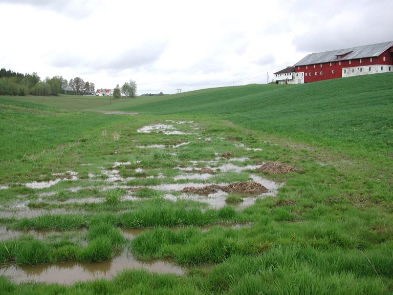 Åstorp gård gjenåpning bekk midtparti c 21-5-03.jpg